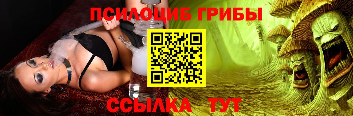 Воткинск  Галлюциногенные грибы Cubensis  Вход с VPN 